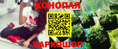 прущие крисы Беслан